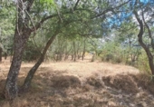 Terreno no urbanizable en venta en la España, Sotosalbos, ref: TR168670 foto