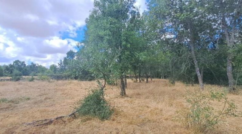 Segovia - Sotosalbos - 7677m2