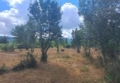 Terreno no urbanizable en venta en la España, Sotosalbos, ref: TR168670 foto