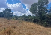 Terreno no urbanizable en venta en la España, Sotosalbos, ref: TR168670 foto