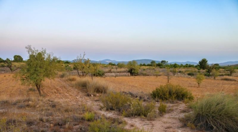 Múrcia - Yecla - 15496m2