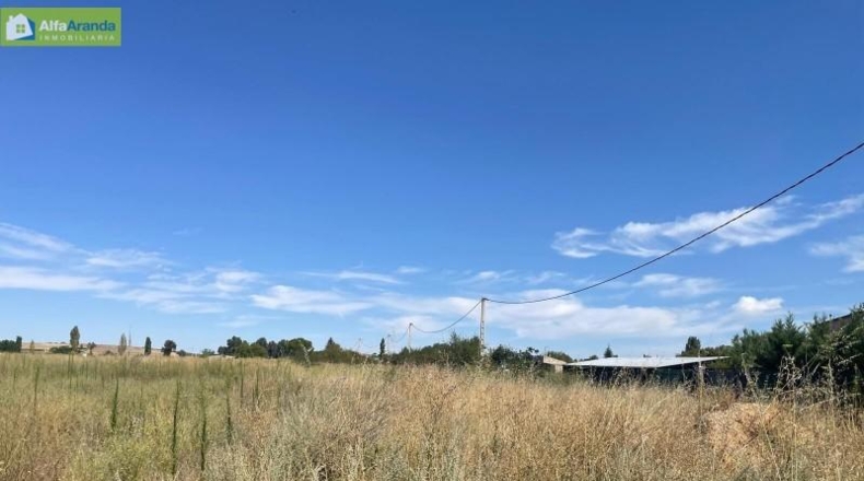 Burgos - Aranda de Duero - 2100m2