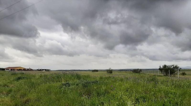 Cáceres - Sierra de Fuentes - 8700m2