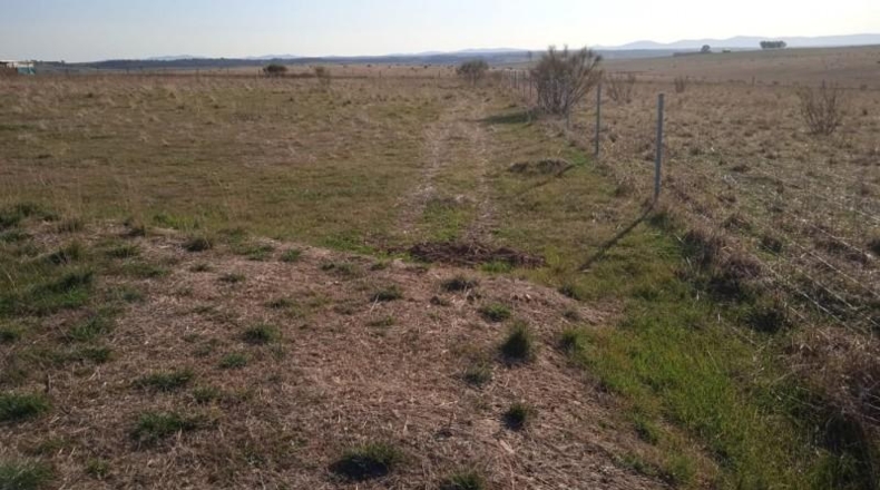 Cáceres - Sierra de Fuentes - 8700m2