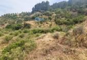 Terreno no urbanizable en venta en la España, Bolulla, ref: TR320228 foto
