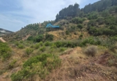 Terreno no urbanizable en venta en la España, Bolulla, ref: TR320228 foto