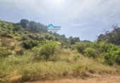 Terreno no urbanizable en venta en la España, Bolulla, ref: TR320228 foto
