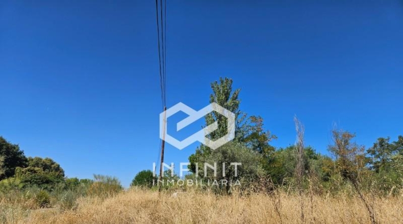 Ciudad Real - Puebla de Don Rodrigo - 954m2