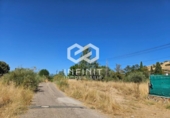 Casa con terreno en venta en la España, Humanes, ref: TR398421 foto