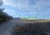 Chalet independiente con terreno en venta en la España, Lorca, ref: TR409443 foto