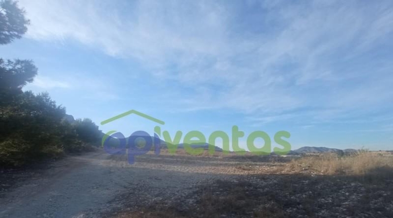 Murcia - Lorca - 120485m2