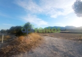 Chalet independiente con terreno en venta en la España, Lorca, ref: TR409443 foto