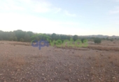 Chalet independiente con terreno en venta en la España, Lorca, ref: TR409443 foto