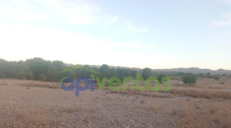 Murcia - Lorca - 120485m2
