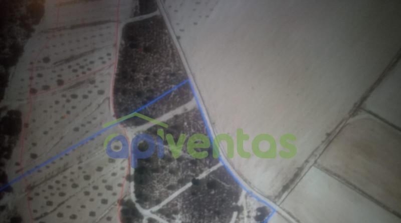 Murcia - Lorca - 120485m2