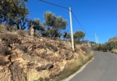 Terreny no urbanitzable en venda a la España, Felix, ref.: TR289414 foto