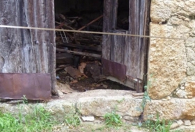 Foto 15