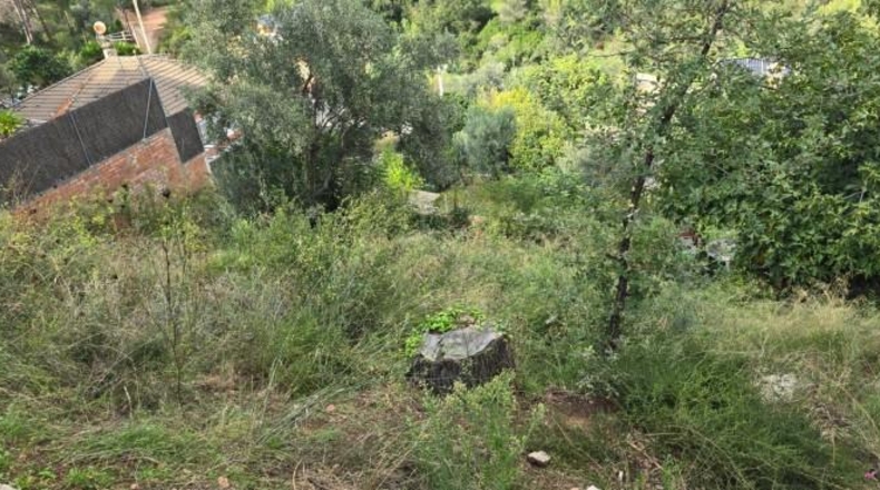 Barcelona - Sant Feliu de Codines - 484m2