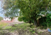 Дом с участком на продажу в городе Villaturiel Фото