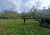 Дом с участком на продажу в городе Villaturiel Фото