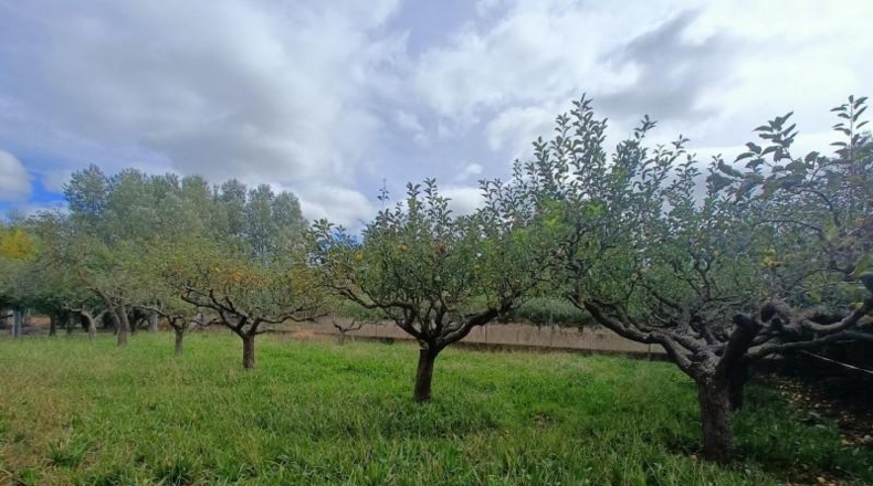 León - Villaturiel - 1548m2