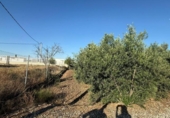 Terreno no urbanizable en venta en la España, Librilla, ref: TR157479 foto