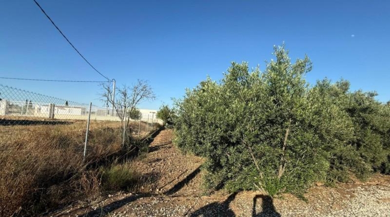 Murcia - Librilla - 2072m2