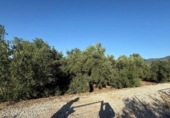 Terreno no urbanizable en venta en la España, Librilla, ref: TR157479 foto