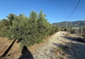Terreno no urbanizable en venta en la España, Librilla, ref: TR157479 foto