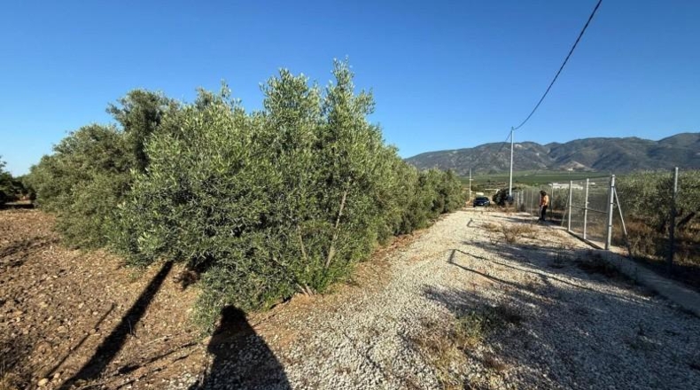 Murcia - Librilla - 2072m2