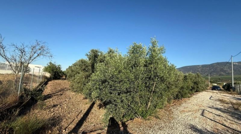 Murcia - Librilla - 2072m2