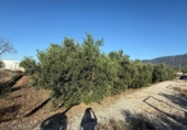 Terreno no urbanizable en venta en la España, Librilla, ref: TR157479 foto