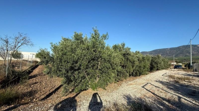 Murcia - Librilla - 2072m2