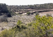 Terreny no urbanitzable en venda a la España, Batea, ref.: TR129869 foto