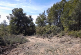 Batea 14380&nbsp;m²