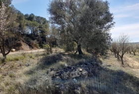 Batea 14380&nbsp;m²