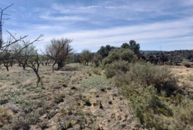 Batea 14380&nbsp;m²