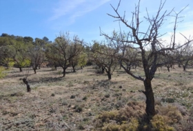 Batea 14380&nbsp;m²