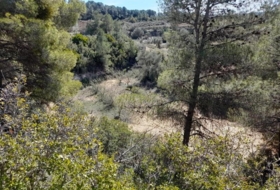 Batea 14380&nbsp;m²