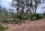 Suelo urbano en venta en la España, Castellnou de Bages, ref: TR118072 foto