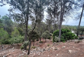 Foto 9