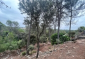 Suelo urbano en venta en la España, Castellnou de Bages, ref: TR118072 foto