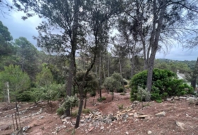 Foto 14