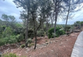 Suelo urbano en venta en la España, Castellnou de Bages, ref: TR118072 foto