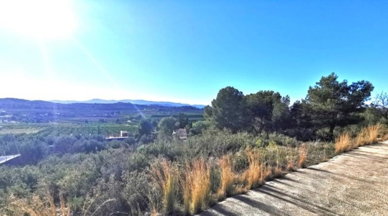 Valencia - Pedralba - 657m2