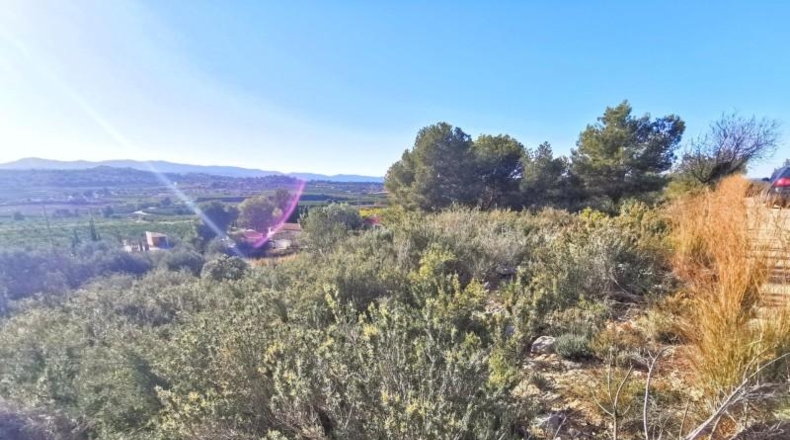 Valencia - Pedralba - 657m2