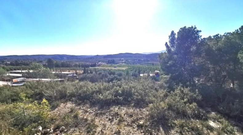 Valencia - Pedralba - 657m2