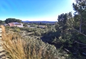 Parcela urbanizable en venta en la España, Pedralba, ref: TR219802 foto