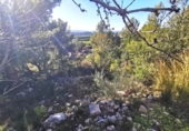 Parcela urbanizable en venta en la España, Pedralba, ref: TR219802 foto