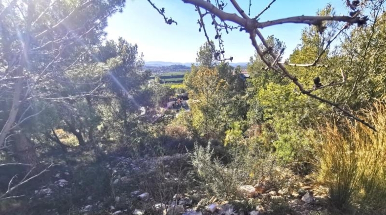 Valencia - Pedralba - 657m2